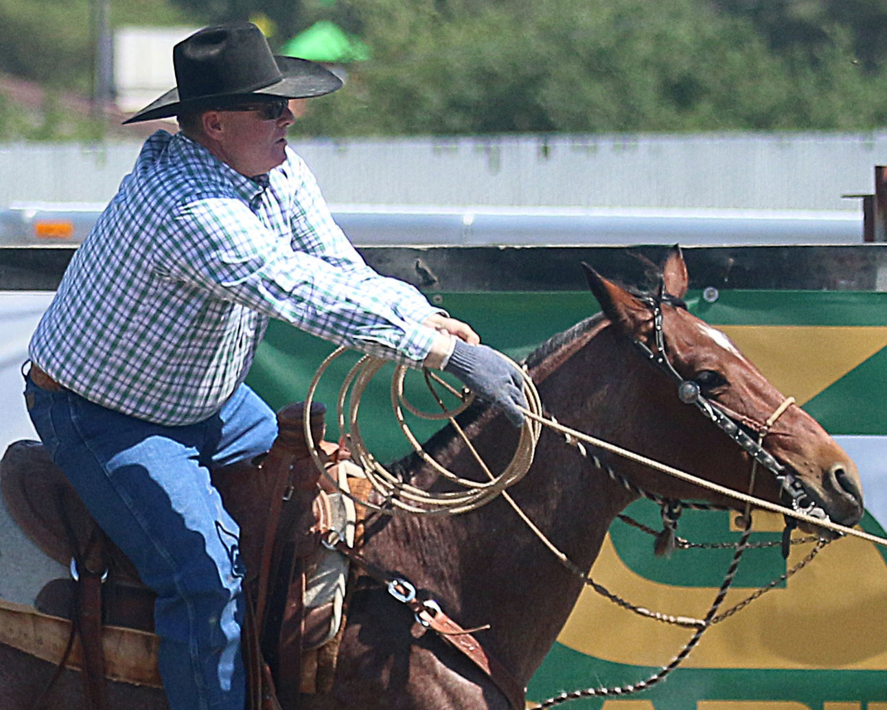 2018 Elko County Fair Open Branding Finals (18).JPG